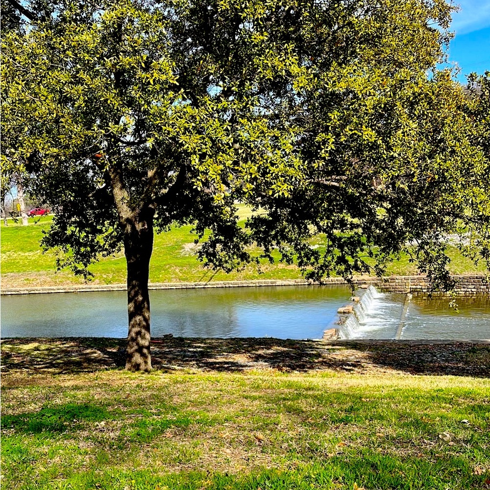 Meet your Posher, Susan🌸